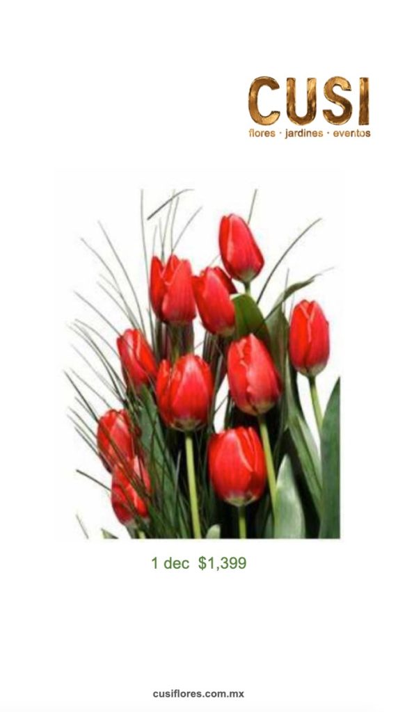 TULIPAN Ramo